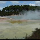 Champagne Pool / Wai-O-Tapu Thermal Wonderland