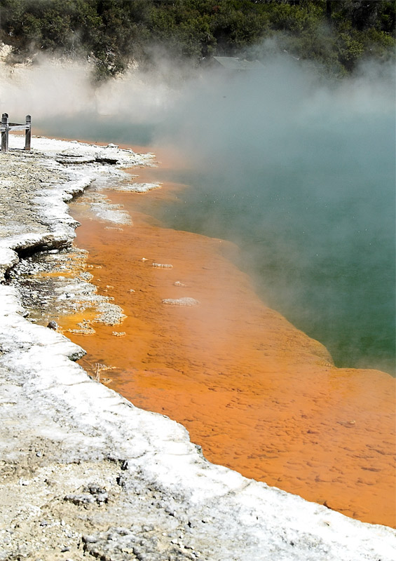 Champagne Pool, Wai-O-Tapu Thermal Wonderland, New Zealand