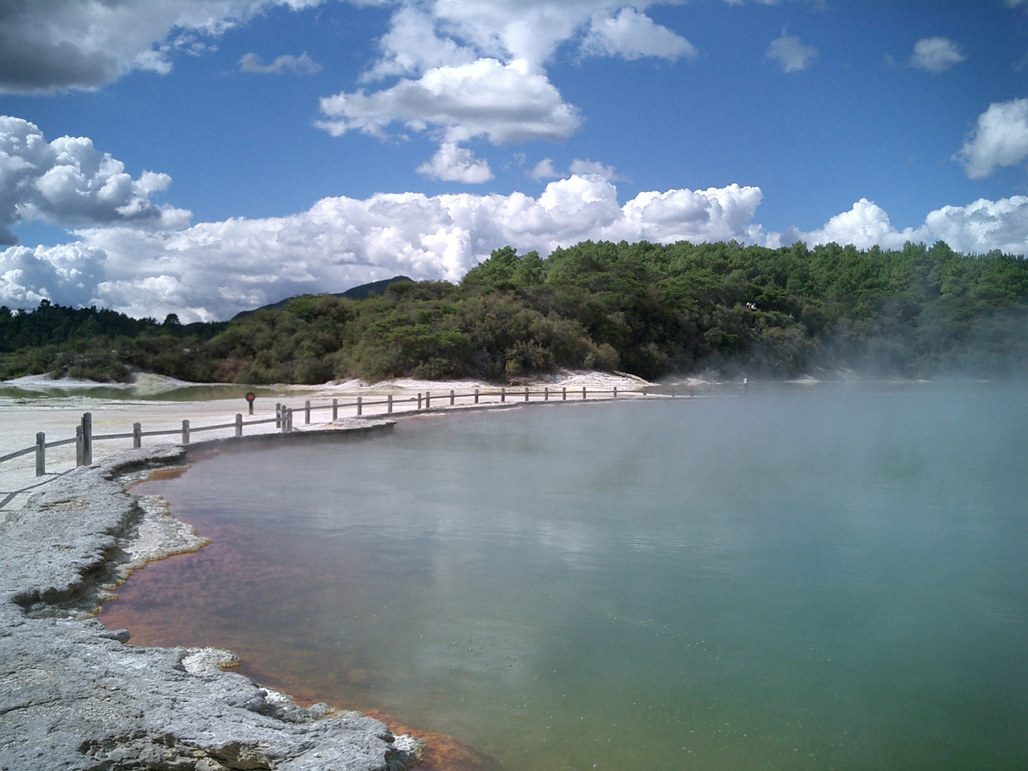 Champagnepool bei Rotorua/ Neuseeland