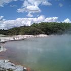 Champagnepool bei Rotorua/ Neuseeland