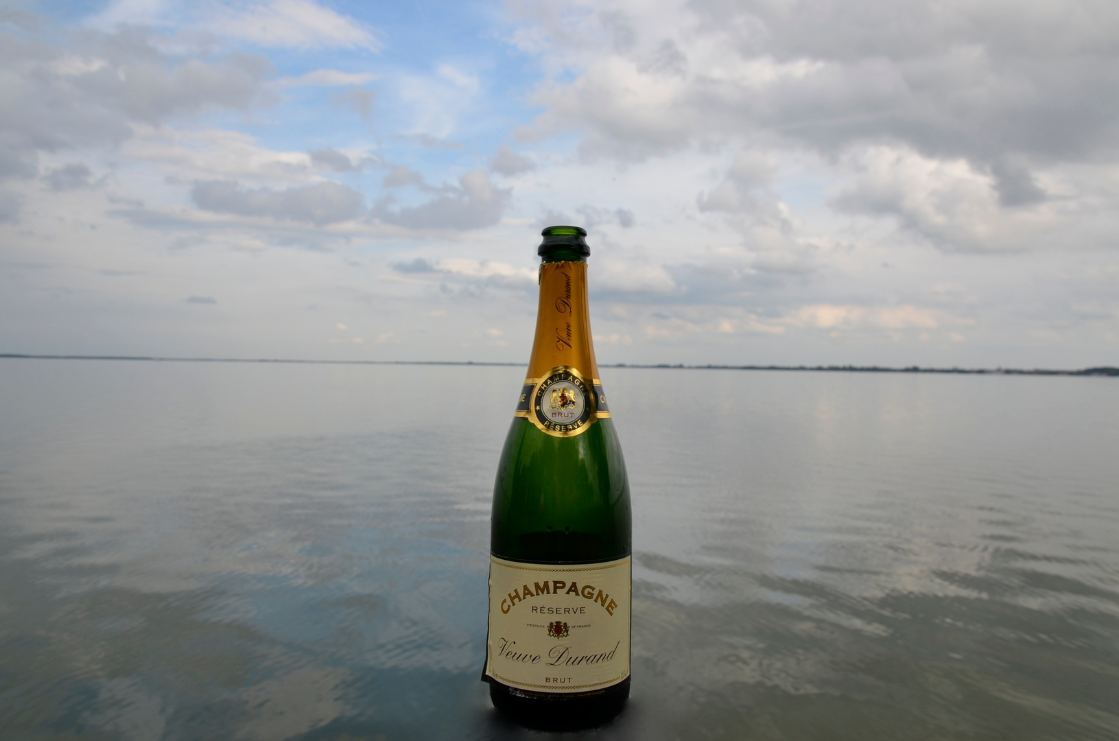 Champagner für 2013 -Happy New Year-