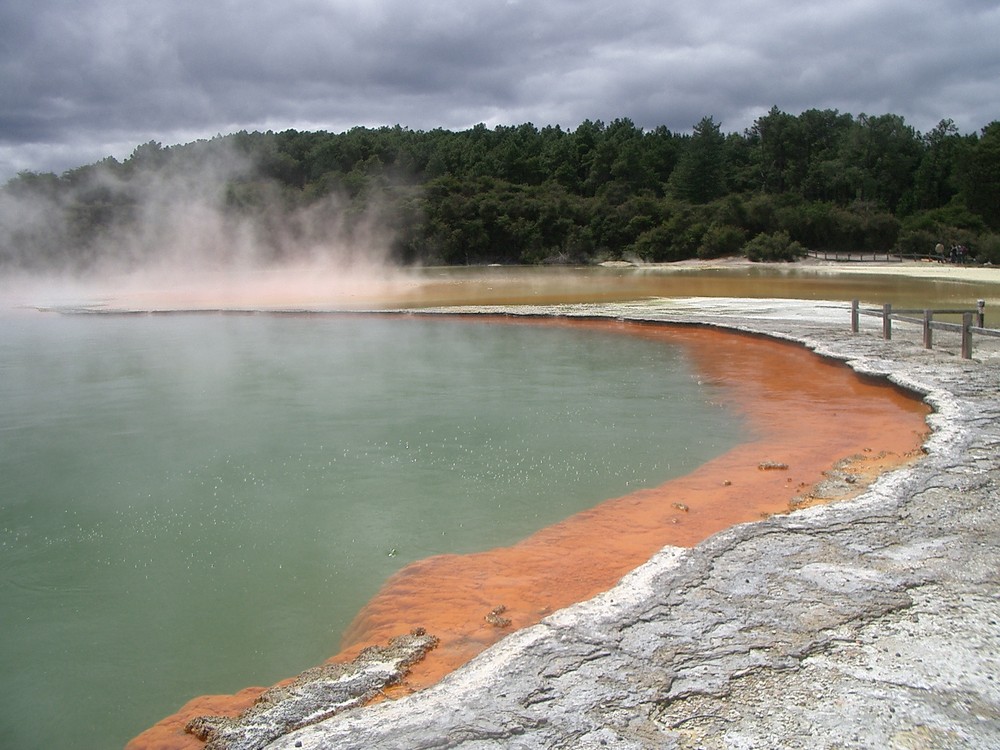 Champagner Pool