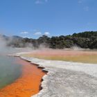 Champagner pool Rotorua