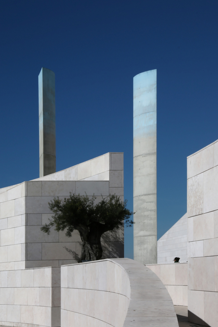 Champalimaud 05