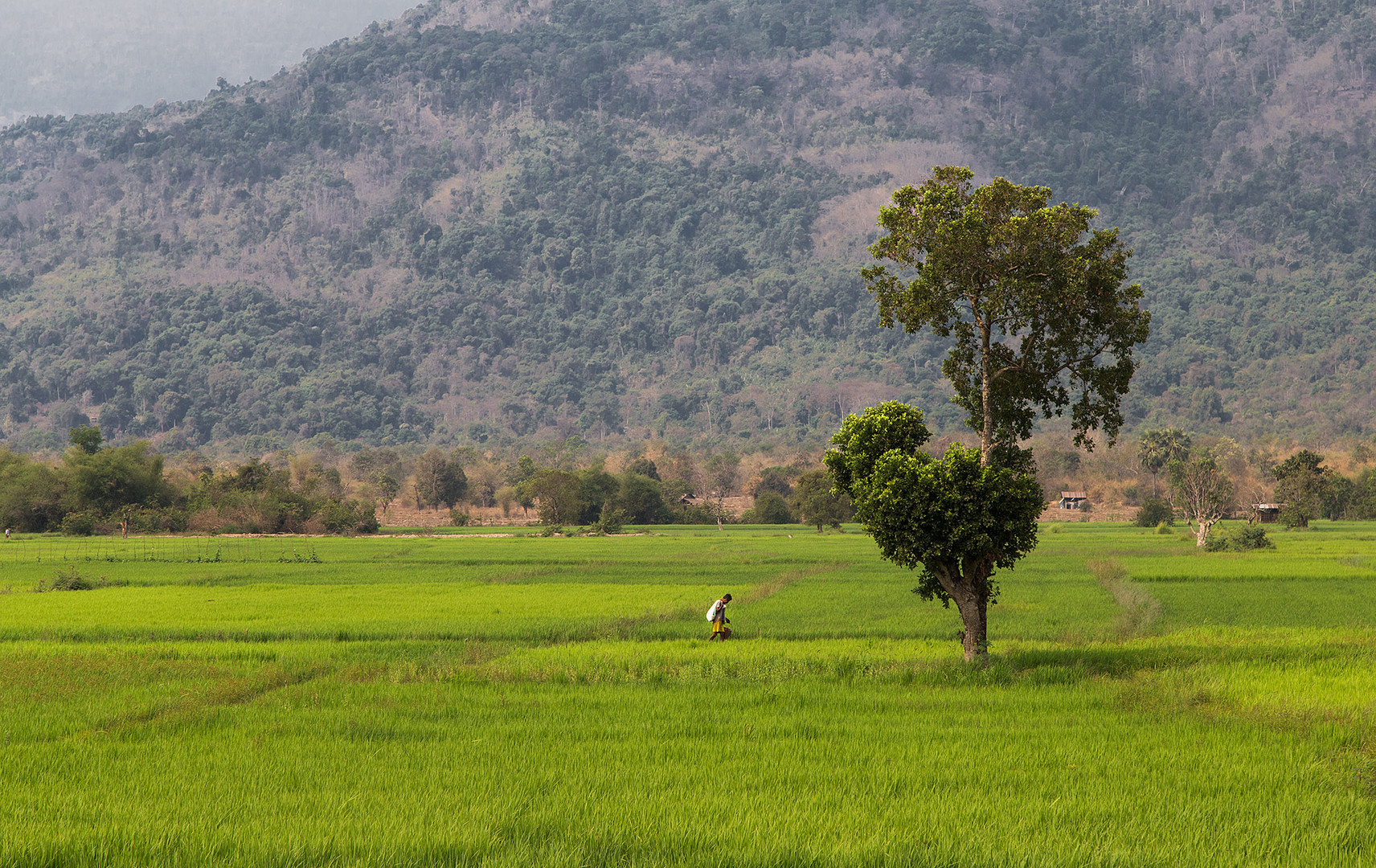 Champasak Province, Laos