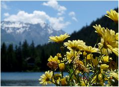 Champex-Lac