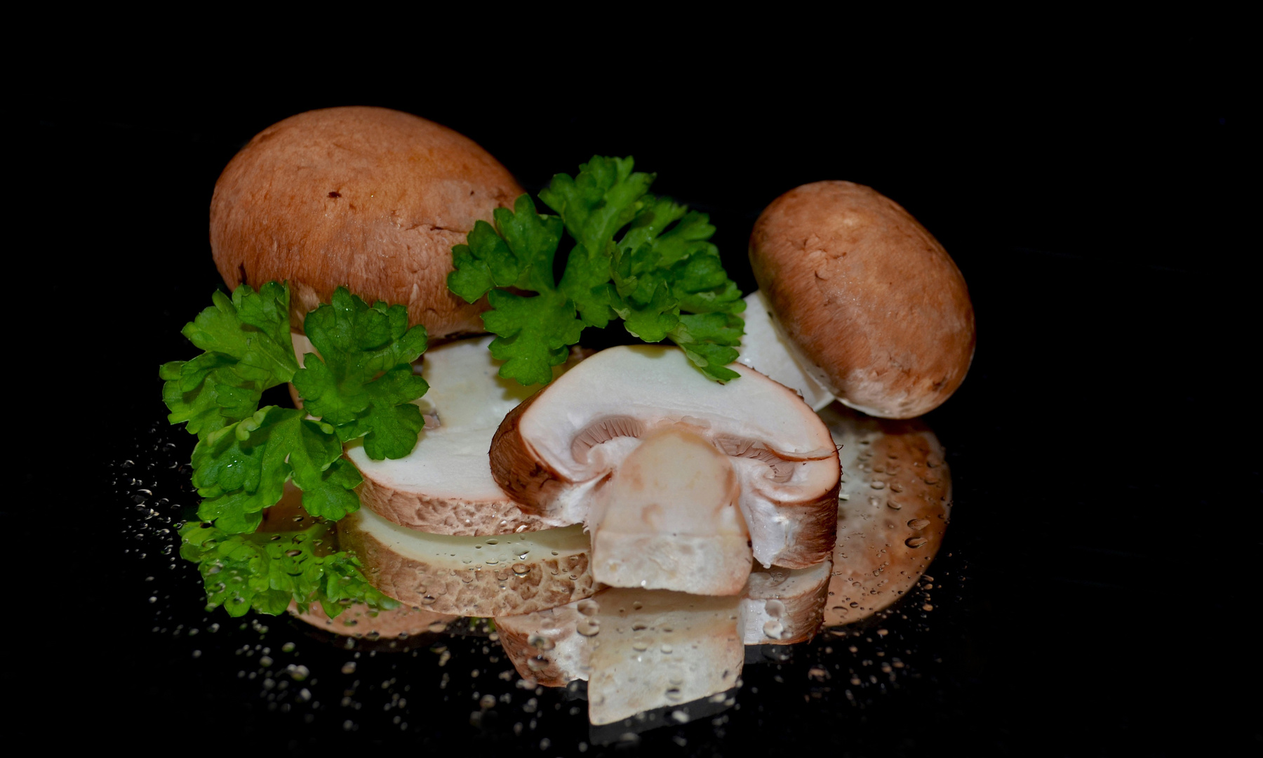 ~ Champignons 2 ~