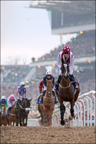 Champion Hurdle Cheltenham 07