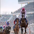 Champion Hurdle Cheltenham 07