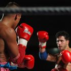 Championat d'europe de Boxe Thai