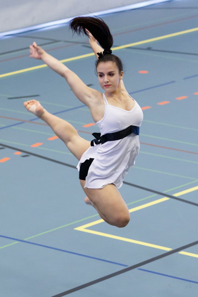 Championnat romand gymnastique 2015 (3)