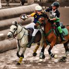 Championnats de France de Horse Ball / Lena