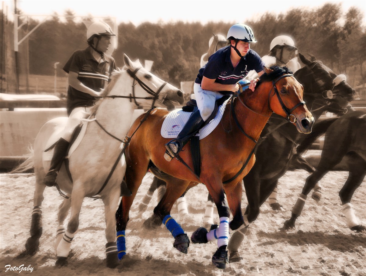 Championnats de France de Horse Ball / Paul (2)