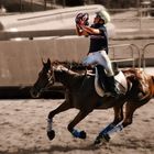 Championnats de France de Horse Ball / Théo