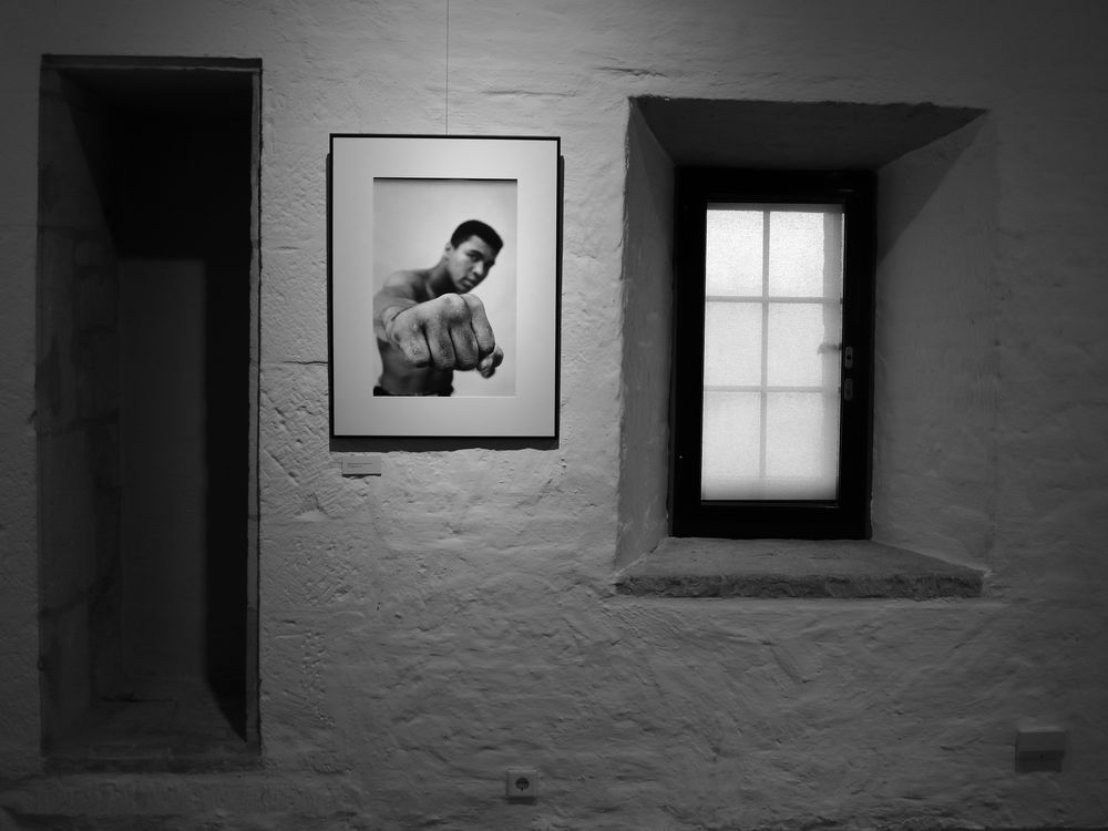 Champions: Elliott Erwitt presents Mr. Ali