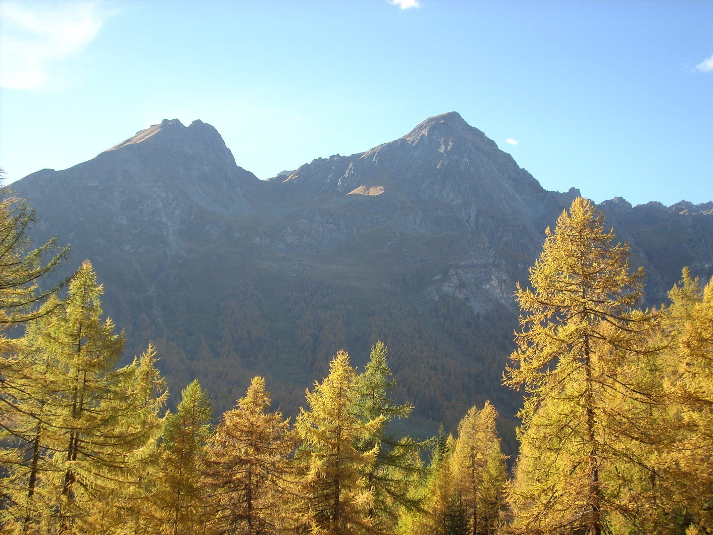 Champoluc