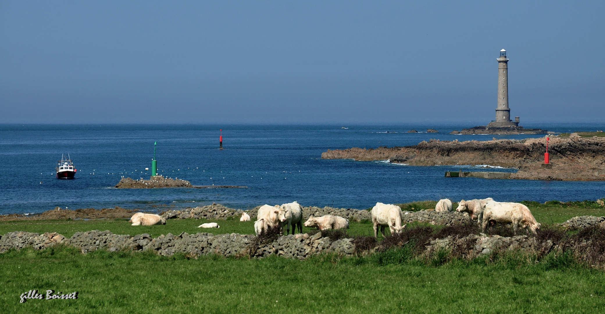 champs de mer