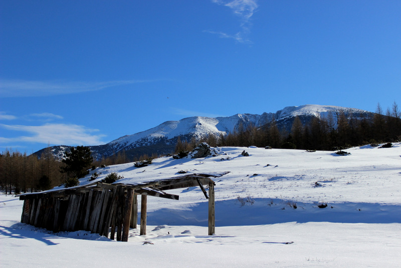 champs de neige