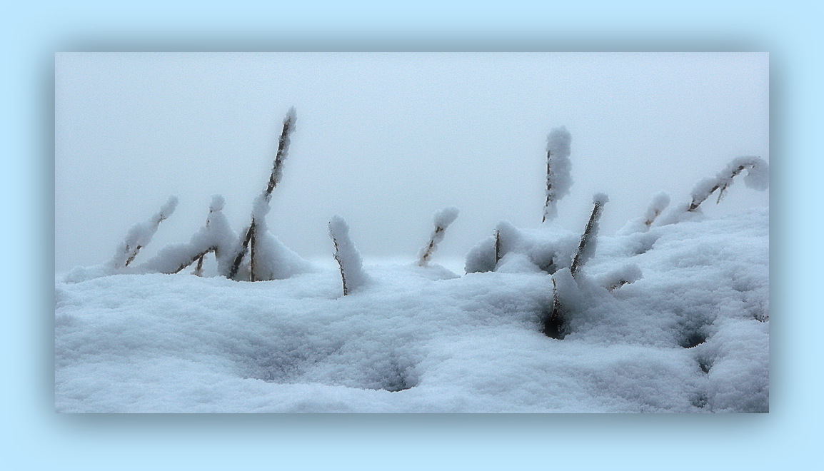 Champs de Promesses........