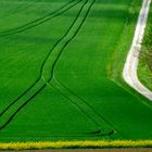 champs du lauragais