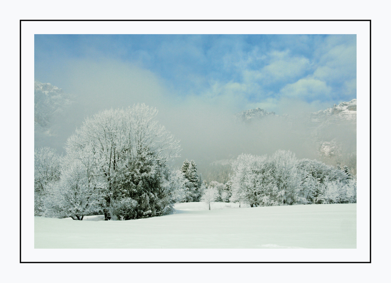 champs en hiver