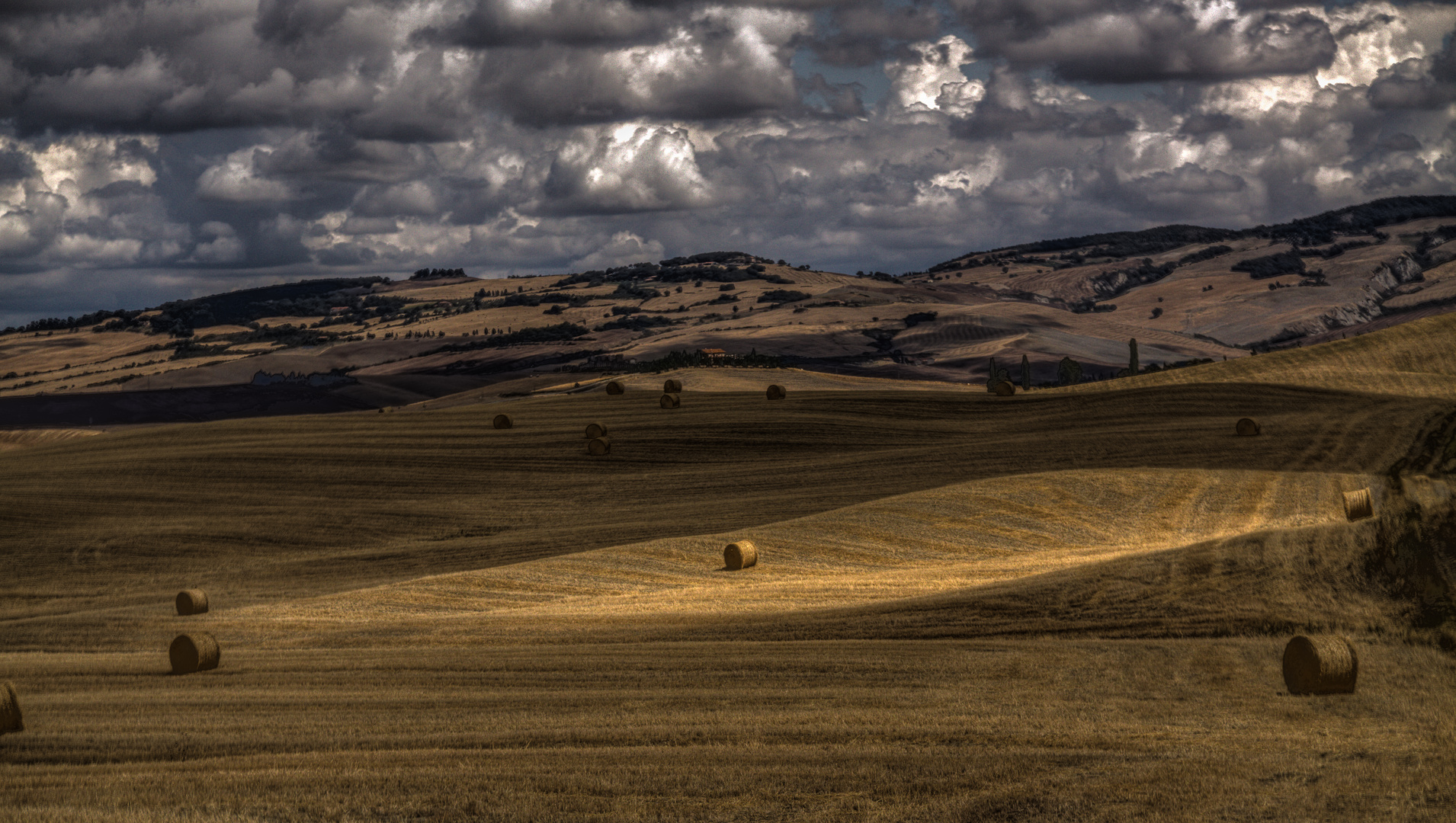 champs en Toscane