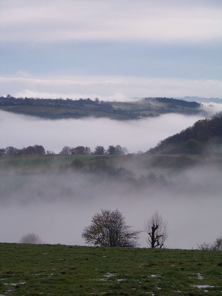 champs et brume