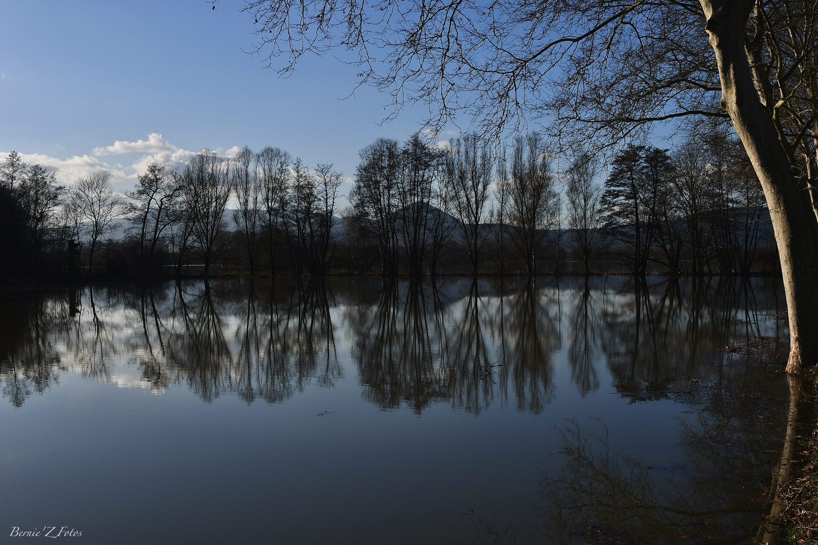 Champs inondés à Sélestat