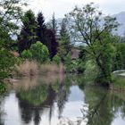 chanaz vers le lac du bourget ! (le chenal ...!) 2