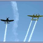 Chance Vought F4U-4 Corsair + Lockheed P-38L Lightning, Mollis  (32) ©