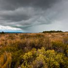 Change in weather at Tongariro National Park