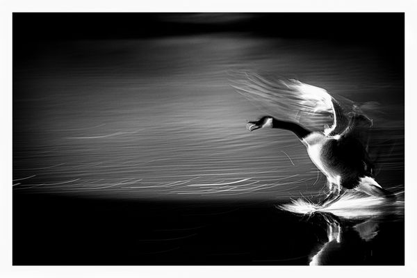 ——— changes ———