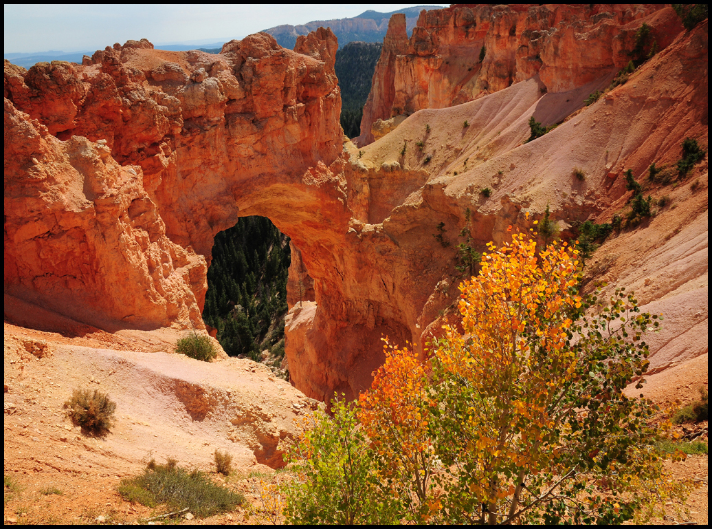 Changing Colors at Bryce