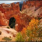 Changing Colors at Bryce