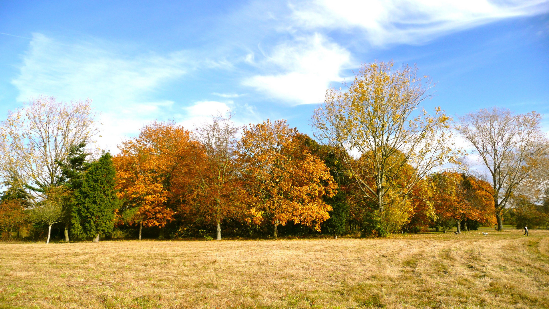 Changing Colours of Time