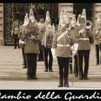 CHANGING OF THE GUARD 1