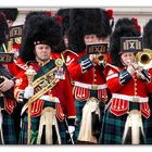 Changing of the Guard, London (2)