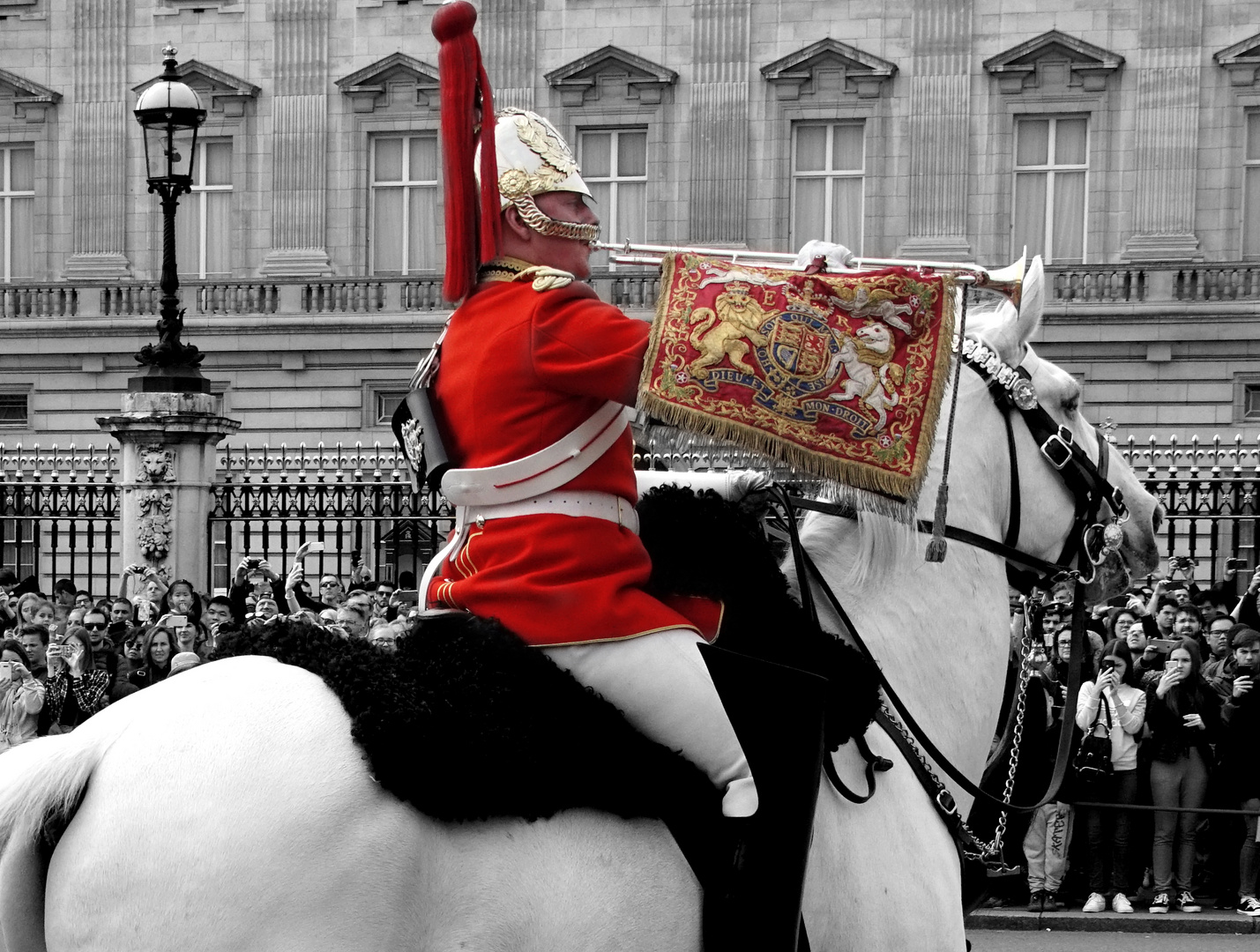 Changing of the Guard, London (3)