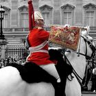 Changing of the Guard, London (3)