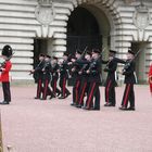 Changing the guard (Changing the colors)