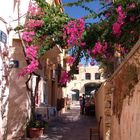 Chania