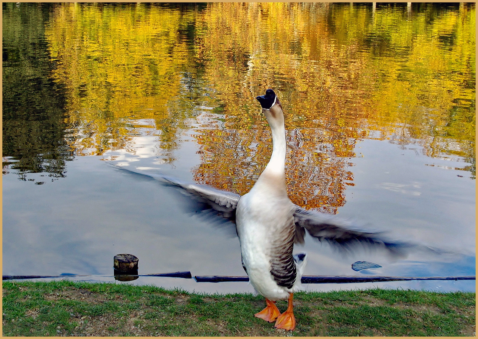 chanson d automne....