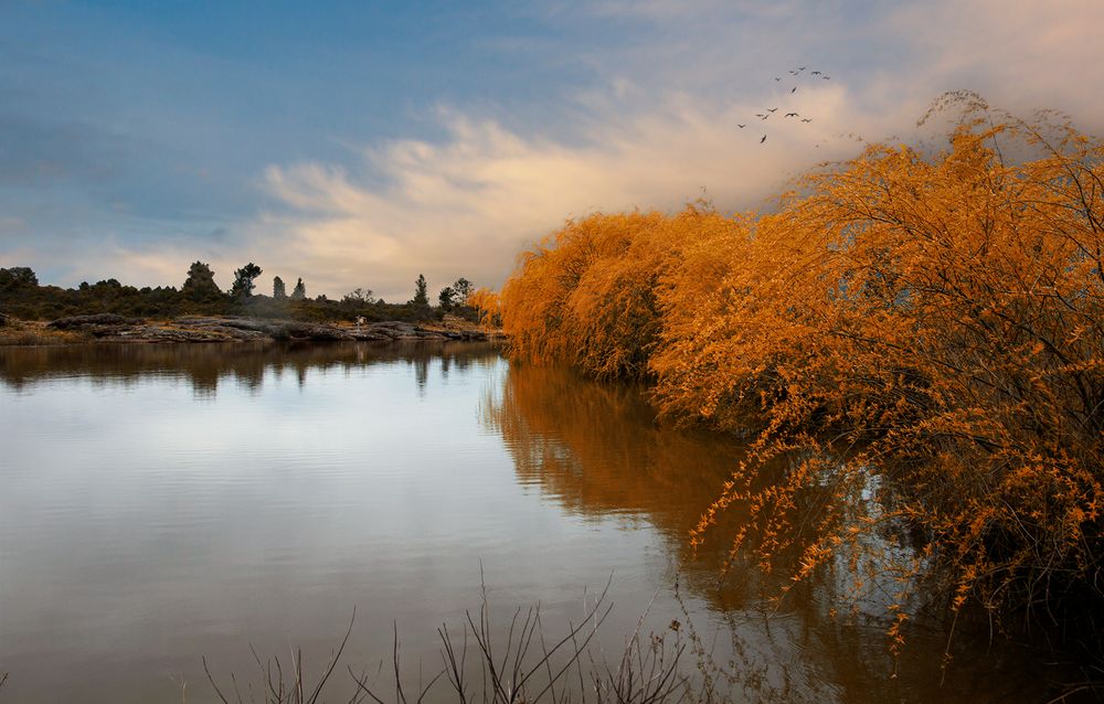 Chanson d'automne