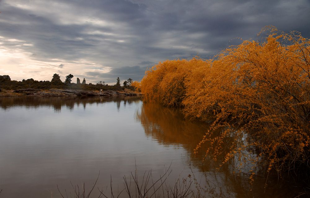 Chanson d'automne 