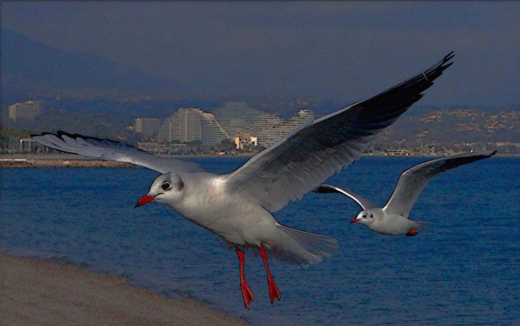 CHANT 73 PATROUILLE DE NUIT 