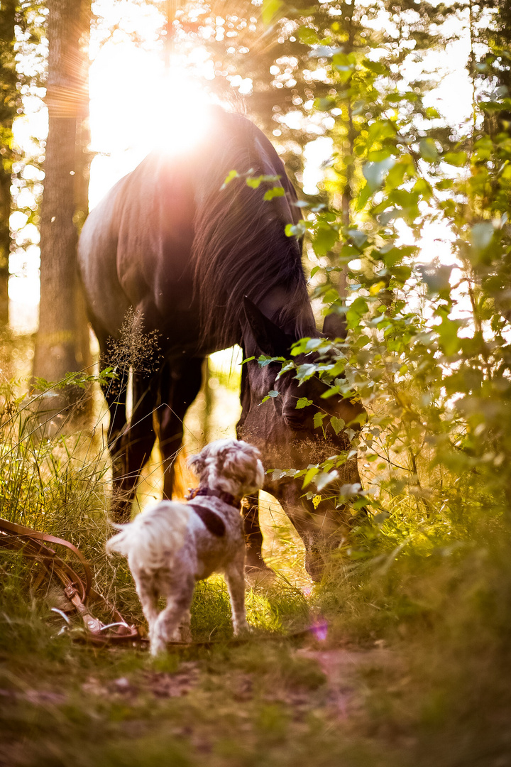 Chantal und Buddy