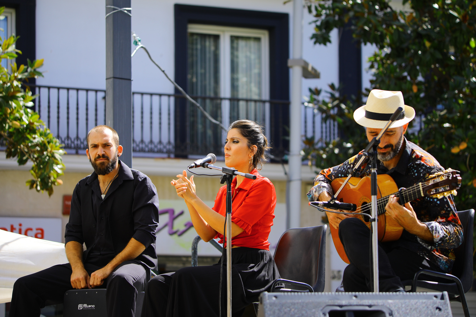 Chanteuse de flamenco ---1