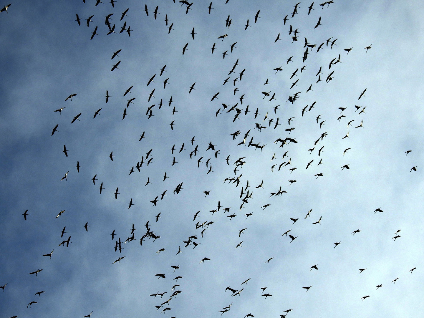 Chaos am Himmel über uns