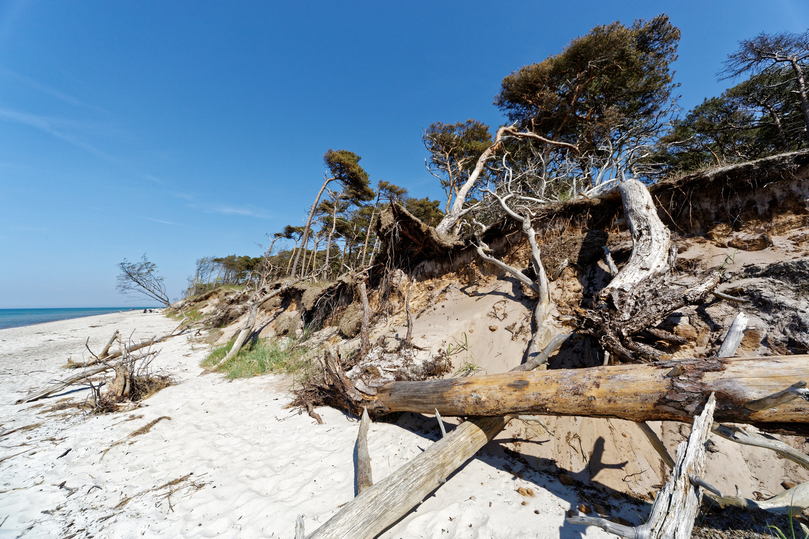 Chaos am Strand