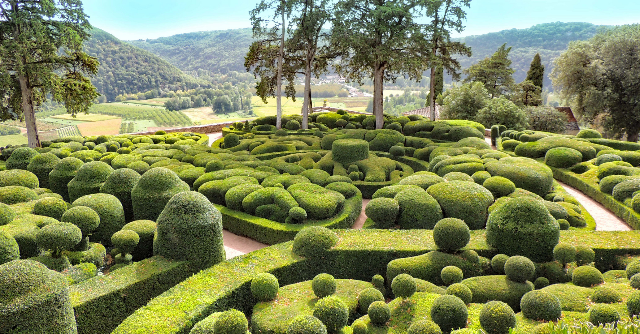 Chaos de buis aux jardin de Marqueyssac 